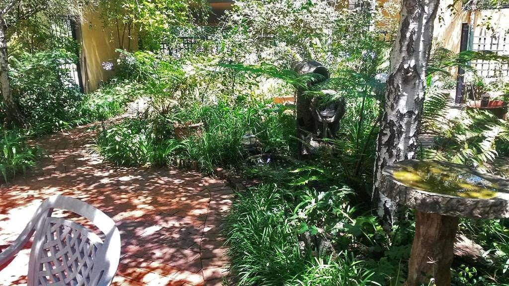 The Birches Backpacker Lodge Randburg Dış mekan fotoğraf