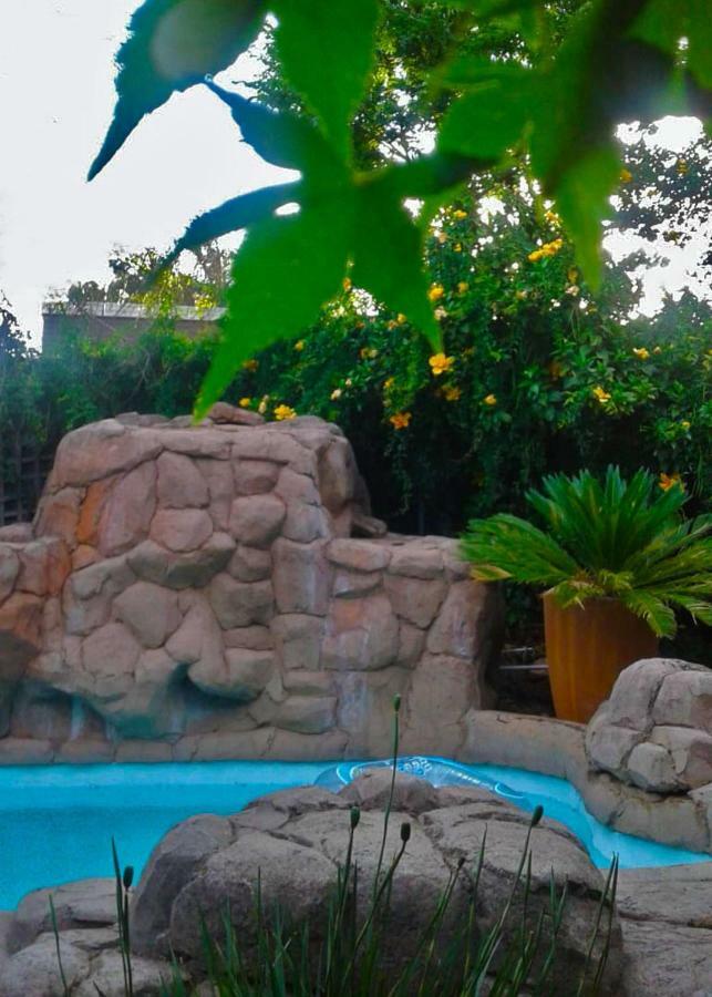 The Birches Backpacker Lodge Randburg Dış mekan fotoğraf